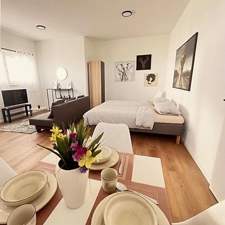 Studio Apartment Albblick Trossingen Exterior foto