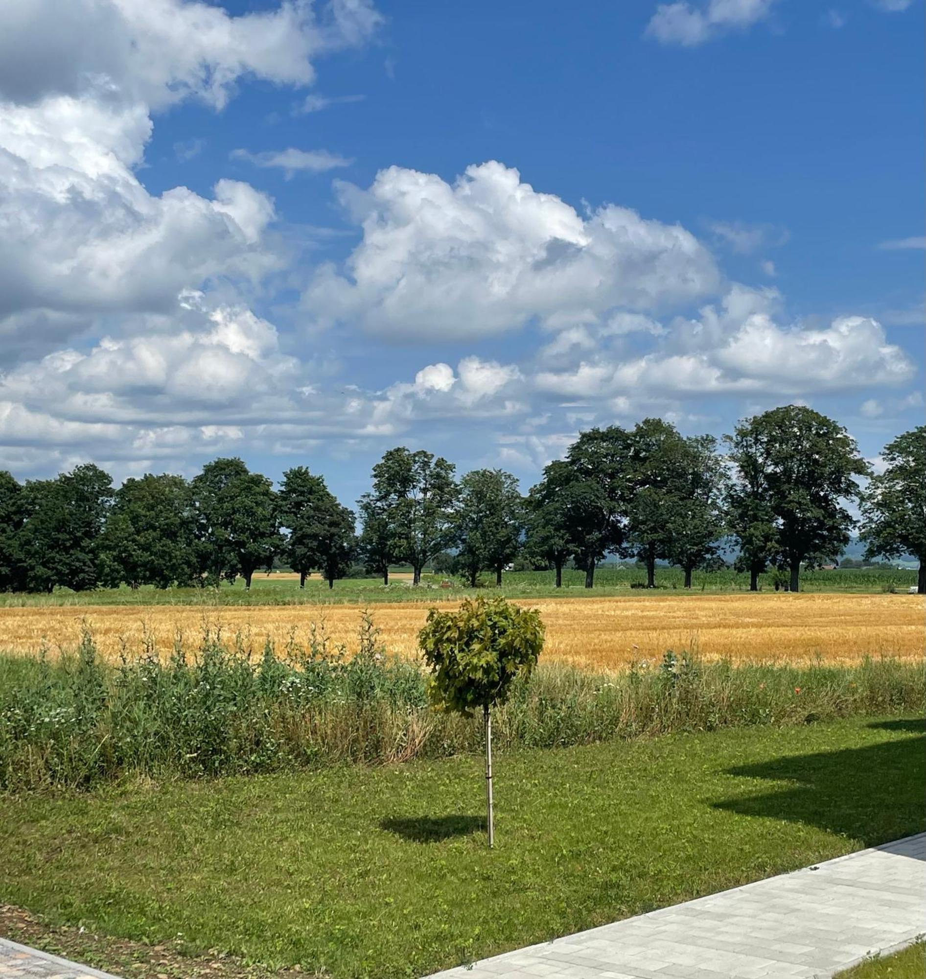 Studio Apartment Albblick Trossingen Exterior foto